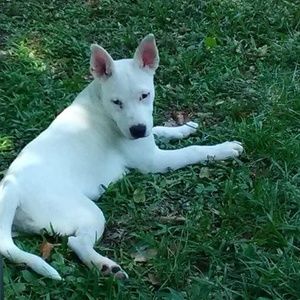 Meet your Posher, Aaron